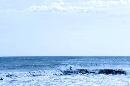 Rising Above The Wave