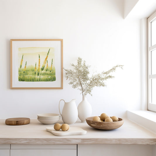 Eremurus | Art Print