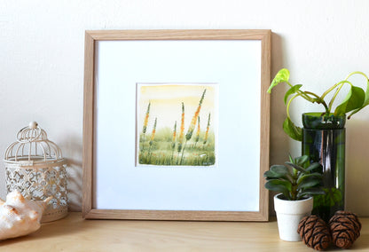 Eremurus | Original Watercolor | 5"x 5" Original