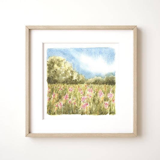 Milkweeds in the Field | Art Print