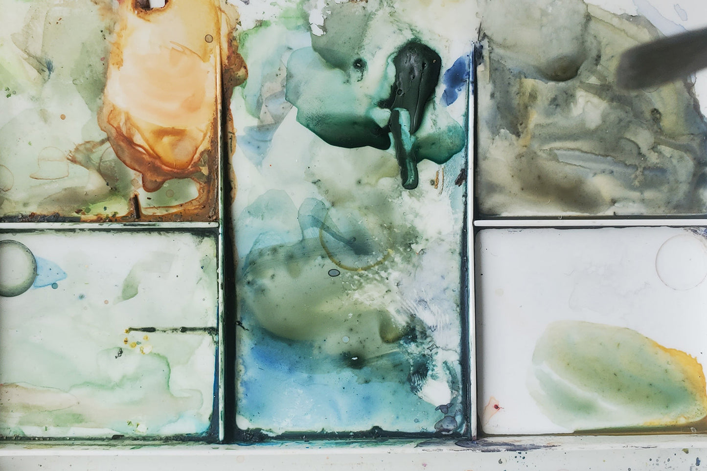 What You Need to Know About Watercolor | Beginner Watercolor Workshop in Colorado Springs